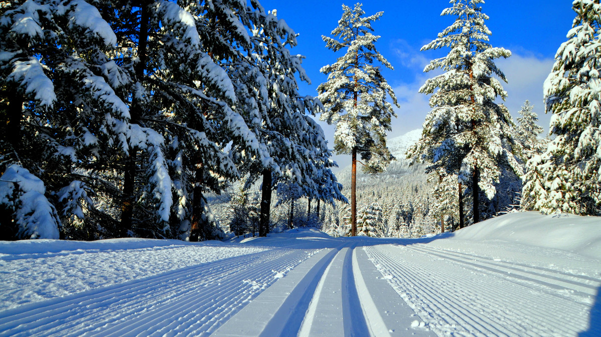 Prepared cross country ski-tracks