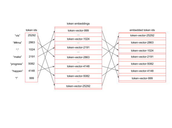 The token vectors are gathered from the token embeddings using the token ids as indices.